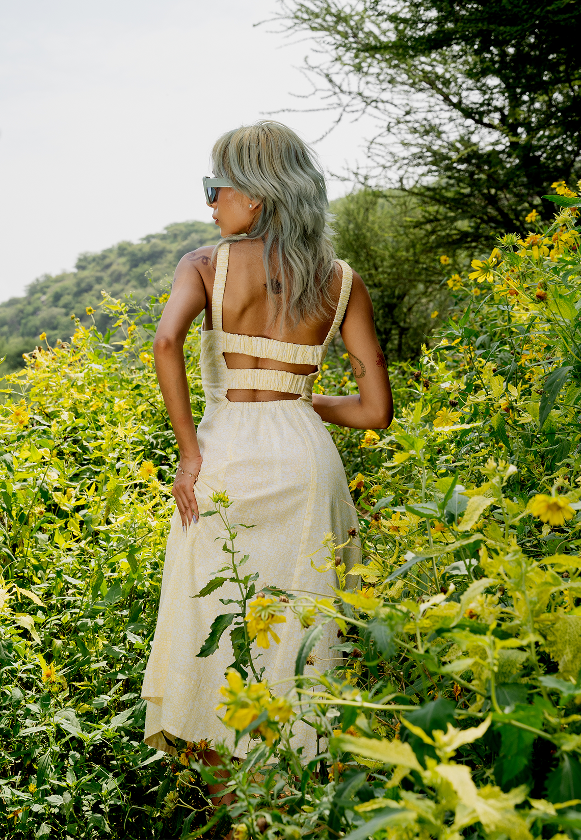 Primrose W